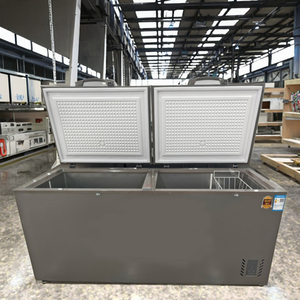 Congelador Horizontal Comercial de Doble Puerta, Gran Capacidad, Fuente de Alimentación para Uso Doméstico y Hotelero, con Compresor - Product Image 1