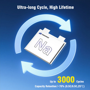 Paragonage NFPP 100C 3.0V 5.5Ah-20Ah 파우치 폴리머 나트륨 이온 배터리 셀 시작 배터리 - Product Image 4