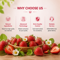 Huile essentielle aromatique de qualité alimentaire à la fraise, pureté 100 %, pour additifs alimentaires et excipients de confiserie