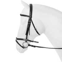 Bridon de cheval en PVC à double bride, confortable, durable et imperméable, coloré, vente en gros, offre spéciale
