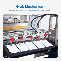 Machine d'emballage automatique sous blister pour cartes en papier, équipement de scellage pour l'emballage sous blister de comprimés et de capsules
