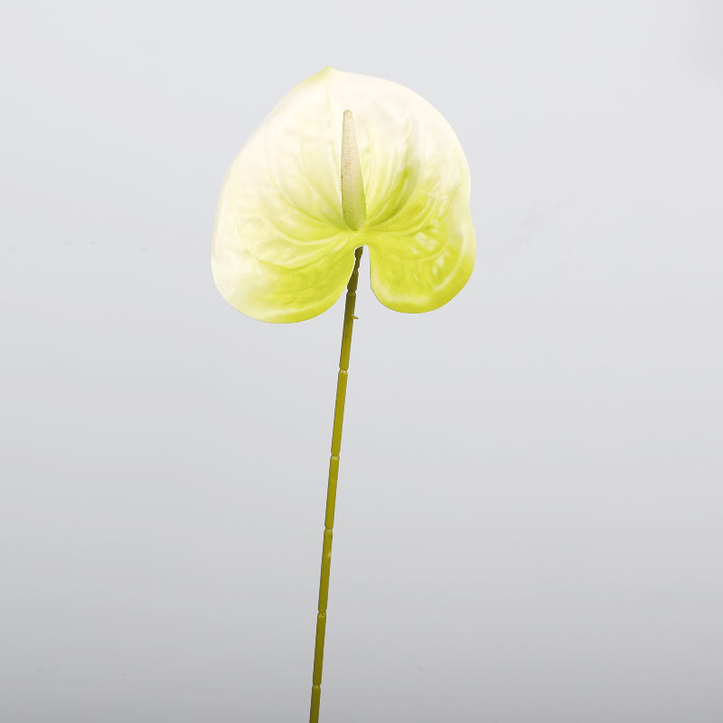 ขาว-เขียว 2