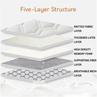 Protège-matelas Queen Size en latex gonflable à mémoire de forme, matelas à compression, disponible près de chez moi