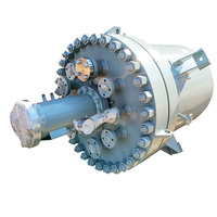 Réacteur à cuve agitée en acier inoxydable à double enveloppe Borui 500L, directement de l'usine, pour la pétrochimie