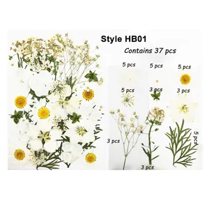 Wholesale Cheap Crafts Art DIY Mixed Dry Flower Real Dried Natural Pressed Flowers For Resin