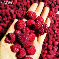 FOB Volle Container Export Fruit, Zonder Additieven Catering Groothandel Diepvries Besjes Diepvries Goede Kwaliteit Hot Sale Prijs