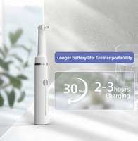Polisseur dentaire électrique rechargeable Rongzhou avec pâte de polissage, brosse, gobelet et disques pour usage domestique