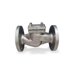 NUEVO Válvula de Retención Original BOACHEM-RXA con Extremos Bridados DN15-400 PN10-40 Función Anti-reflujo - Product Image 3