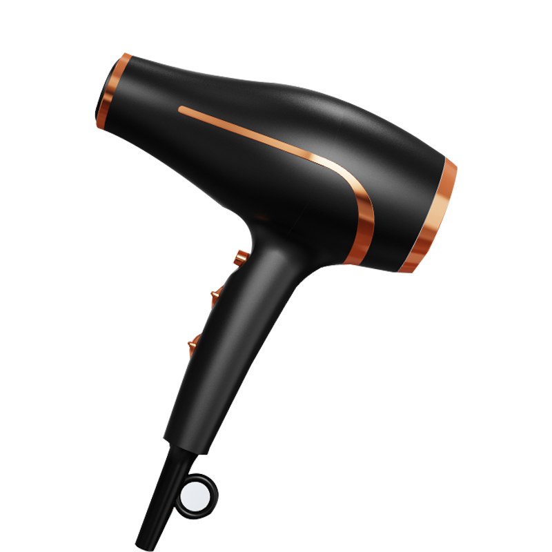 High-Speed Salon Hair Dryer Styling Features Ionic Hair Care Brushless Bldc Dc Ac