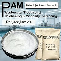 CAS 9003-05-8 Poliacrilamida Aniónica PAM Coagulante para Aditivos de Petróleo en la Clasificación de Minerales en Minería y Residuos