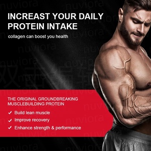 OEM Private Label Whey <strong>Protein</strong> <strong>Powder</strong> 1KG Bulk Strawberry Flavor Muscle <strong>Recovery</strong> Mass Gainer Gym Supplement Wholesale - Product Image 5