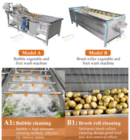 Industrie Ultrasone Fruit Verwerking Lijn Fruit Wasmachine/Groente Wasmachine