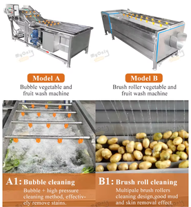 La industria ultrasónico de la línea de procesamiento de frutas Lavadora/lavadora de verduras - Product Image 4