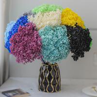 Supplier Grosir Bunga Hydrangea Anna Glycerin Kering Alami Batang Tunggal untuk Dekorasi Rumah Tahun Baru dan Rangkaian Bunga