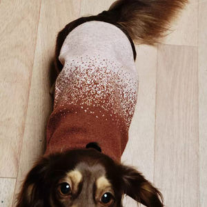 Warme Woll mischung Hunde pullover Winter Essential und Haustier Kleidung für Schnee tage Custom Dog Sweater - Product Image 2