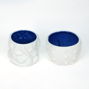 Nordic Style Starfish Conch Rounded Shape Shell Multi-Functional Ceramic <b>Ring</b> Holder Trinket <b>Plate</b> for Home Decoration - Product Image 4
