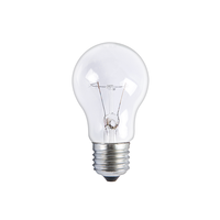 Ampoule miniature incandescente électrostatique transparente E27 B22 220v 110v A55 A60 100w