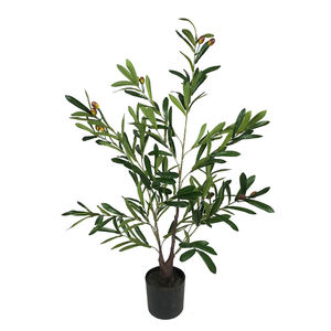 Ornement d'intérieur et d'extérieur, petite et grande taille, fausses plantes de fromage en pot, semis vertes, bonsaï live, 100 pièces - Product Image 5