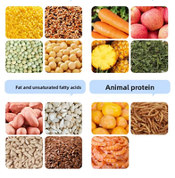 Mélange de graines pour perroquets et oiseaux, nourriture pour oiseaux Peony Small Sun Monk, grain nutritif, sans OGM, riche en protéines, faible en glucides, sans additifs, sans ingrédients artificiels
