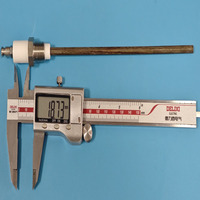 Allumeur céramique haute température pour brûleur industriel, broche d'induction de flamme filetée 1/4 NPT