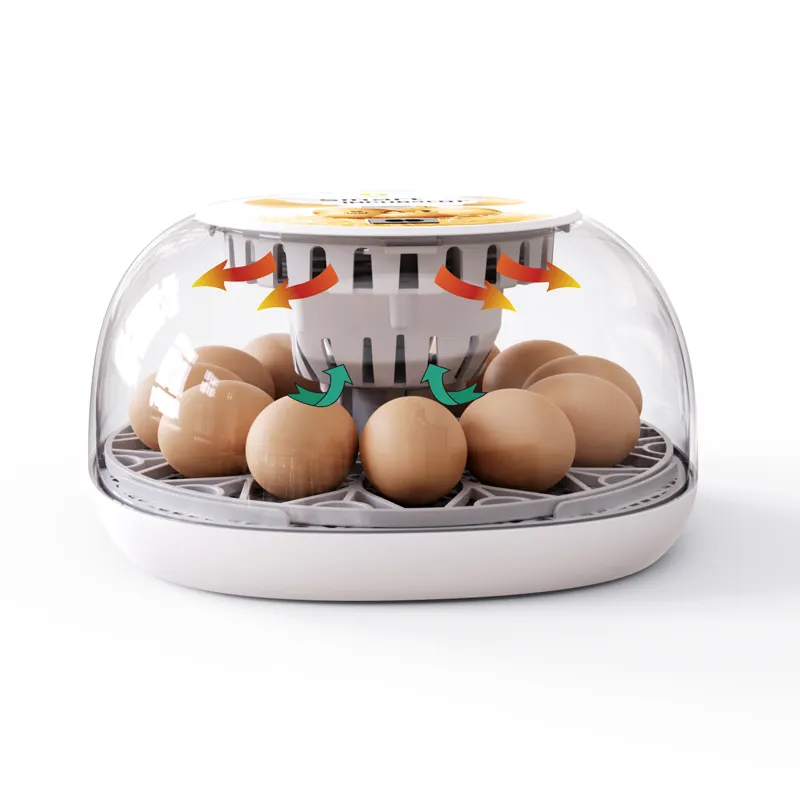 98% 孵化率12卵インキュベーター自動回転卵トレイ卵孵化機教育玩具