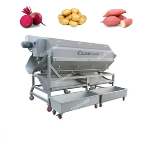 Industrial Continuous Potato Peeling Machine Beet Sweet Potato Peeling machine vegetable peeler