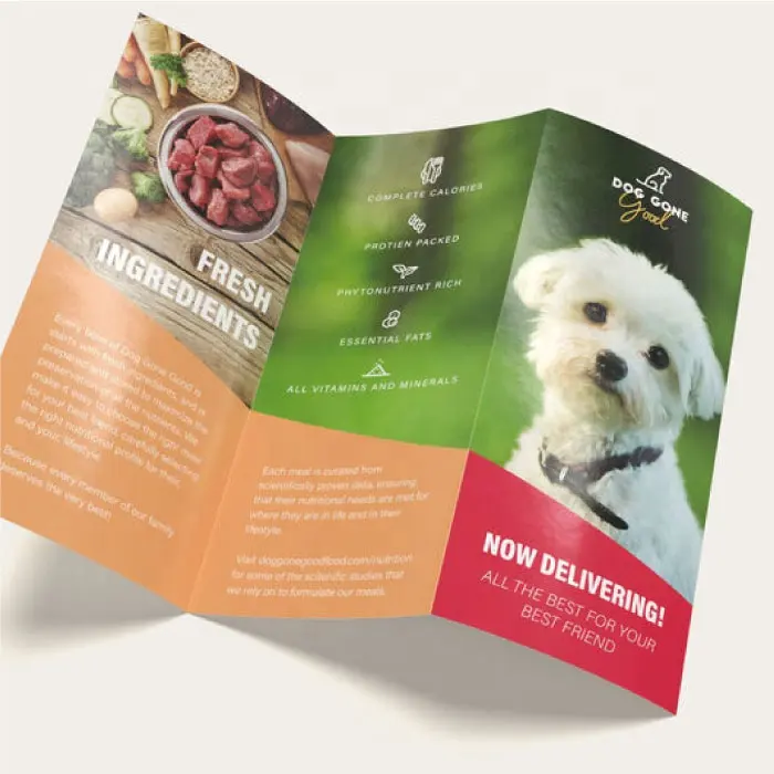Usine design personnalisé impression couleur pliant manuel de l'utilisateur étanche catalogue de brochures laminées