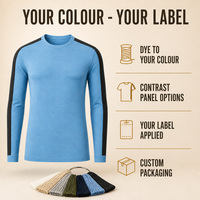 T-shirt à manches longues en laine mérinos pour homme, uniforme d'entreprise, norme OEKO-TEX 100, couleurs personnalisées, marque privée, usine BSCI