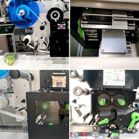 Automatische machine voor het wegen en etiketteren van groenten, fruit, eieren, vlees, trays, kartonnen dozen en papieren bekers