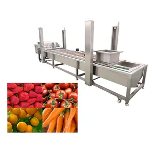 Avocado Wash Machine Fruit And Vegetable Processing Equipment Avocado Washing And Sorting Machine Vegetable Washing Machine