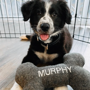 Kişiselleştirilmiş işlemeli adı özel köpek oyuncak Pet çiğnemek oyuncaklar dayanıklı köpek oyuncaklar yılbaşı hediyeleri - Product Image 3