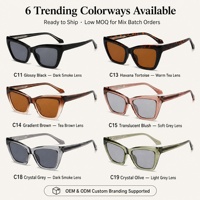 Lunettes de soleil œil de chat pour femmes, monture épaisse rétro angulaire, verres CP, protection UV400, style Y2K vintage, vente en gros OEM ODM