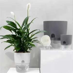 Kit d'arrosage automatique pour plantes d'intérieur avec corde en coton de 3 pouces <span class=keywords><strong>Pot</strong></span> de fleurs paresseux en plastique transparent <span class=keywords><strong>Pot</strong></span> absorbant l'eau - Product Image 6
