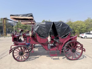 HengYiSheng Chariot Électrique Touristique Européen pour Mariages, Type Calèche, Autres Normes d'Émissions, Autres Puissances - Product Image 2