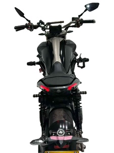 Motocicleta Cruiser <span class=keywords><strong>ZONTES</strong></span> <span class=keywords><strong>300</strong></span> de 310cc, Monocilíndrica, Refrigerada por Agua, con ABS, Pantalla TFT, Sin Llave, >180km/h, para Principiantes y Uso Diario - Product Image 2