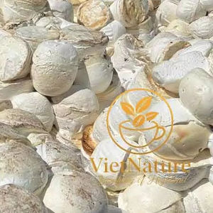 [Haute pureté] Caoutchouc industriel vietnamien non traité, résistant au vieillissement, en forme de bloc, pour la fabrication de bandes transporteuses et de tuyaux - Product Image 4