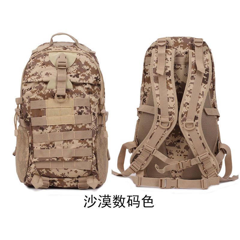 สีดิจิทัลทะเลทราย