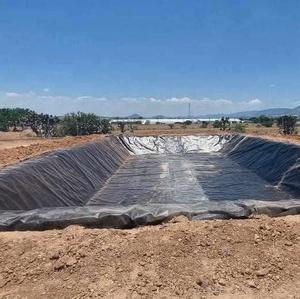 Étangs géomembranes HDPE 0.2mm 0.3mm 0.35mm 0.5mm 0.75mm 1.0mm 1.5mm 2.0mm 2.5mm Épaisseur Longueur personnalisée Géomembranes lisses - Product Image 1