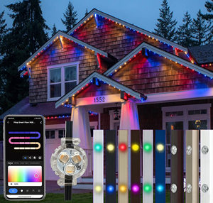 High Brightness IP68 Waterproof Gemstone Christmas Eaves <b>Lights</b> 12V 24V Permanent Outdoor Decorations Point <b>Light</b> - Product Image 1