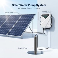 Pompe submersible solaire à vis unique 36V DC 210W, débit 1,5m³/h, hauteur de refoulement 75m, sortie 3/4 pouce