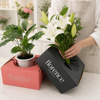 Boîte d'expédition de luxe pour plantes en pot, en carton ondulé, pour fleuriste, emballage cadeau pour fleurs, boîte de protection pour le transport