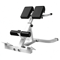 Chaise romaine réglable, banc d'hyperextension, banc d'extension dorsale, appareil d'entraînement abdominal, équipement multifonctionnel pour le renforcement du tronc, équipement de gym à domicile