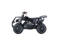 Quad ATV 49cc tout-terrain