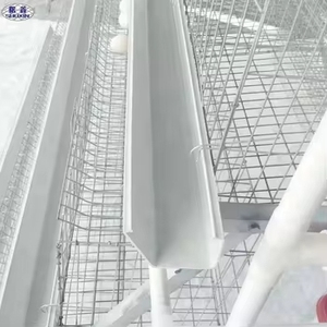 Jaula para Gallinas Ponedoras Tipo A con Recolección Automática de Huevos, Equipo de Avicultura, Jaulas de Batería para Gallinas Ponedoras, Venta en Argelia - Product Image 4
