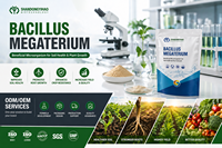 Fosfaatoplossende bacteriën Bacillus Megaterium PGPR Biofertilizer voor tarwe, maïs, rijst en groenten 100 miljard CFU/g