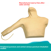 PVC interne sous-clavier de mannequin de simulation de ponction de veine jugulaire pour le modèle de formation de cathétérisme veineux central périphérique