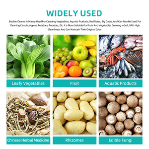 Mesin Cuci Sayur dan Buah dengan Gelembung Udara, Mesin Cuci Sayur Stainless Steel 304, Mesin Cuci Buah dan Sayur Industri - Product Image 5