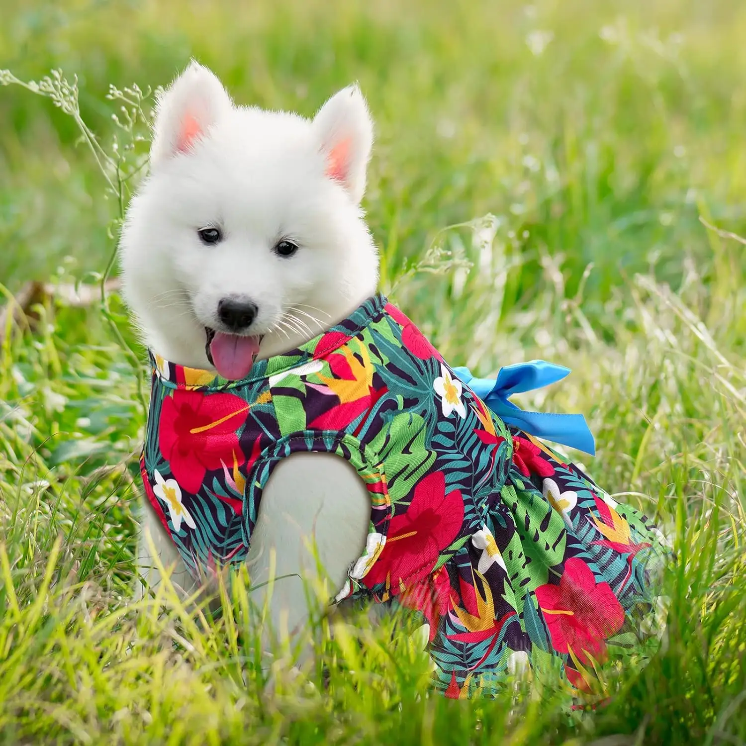 Vestido de cachorro havaiano temático de verão, vestido de férias para cachorro, flamingo, frutas, padrão floral, saias para animais de estimação