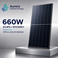 Panneau solaire haute efficacité 660W, faible risque de points chauds, structure demi-cellule, empêche les dommages liés à la surchauffe locale
