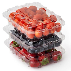Disposable Plastic Fruit Packaging Pet Clear 500 gram Grape Clam shell Container